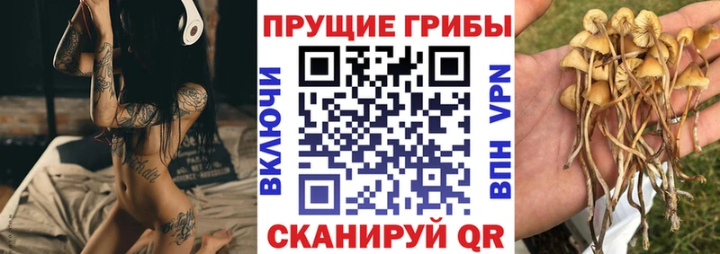 Псилоцибиновые грибы Magic Shrooms  Гдов 